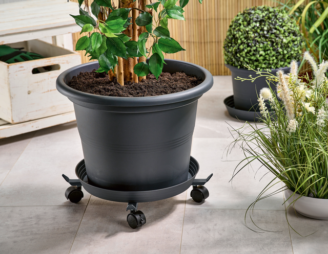 PARKSIDE® Teleskop-Pflanzenroller (Anthrazit)