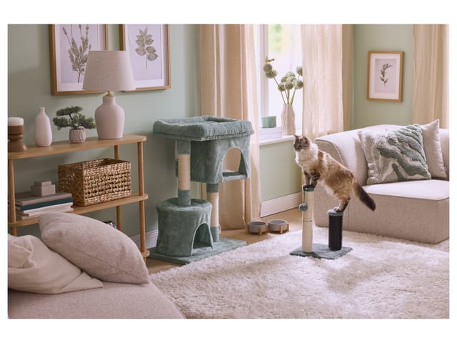 ZOOFARI® Katzen Kratzstamm mit Massageelementen (Kratzstamm mit Massagebürster)