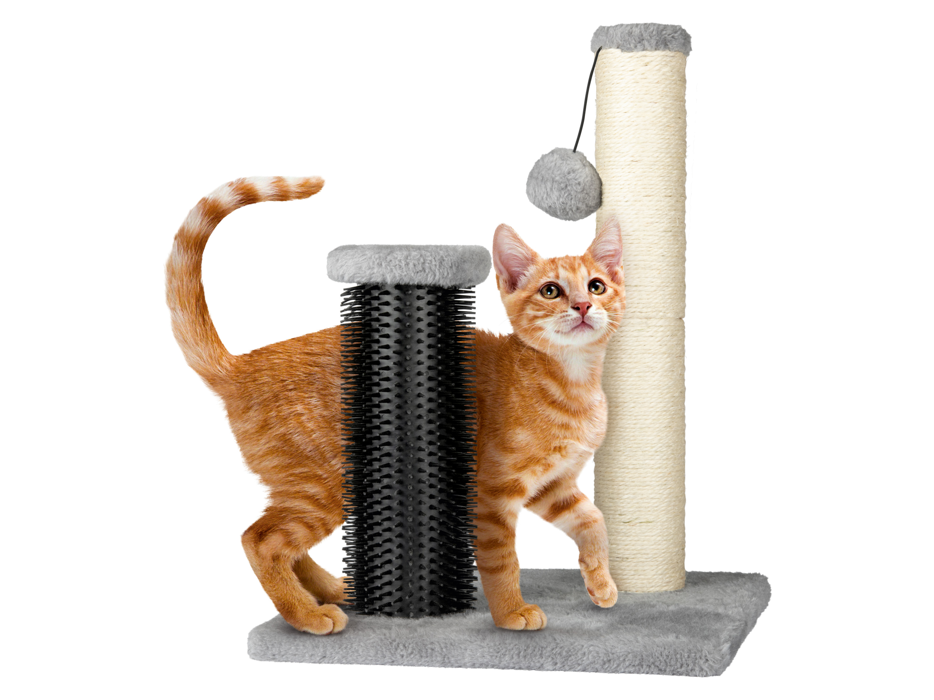 ZOOFARI® Katzen Kratzstamm mit Massageelementen (Kratzstamm mit Massagebürster) Bild 2