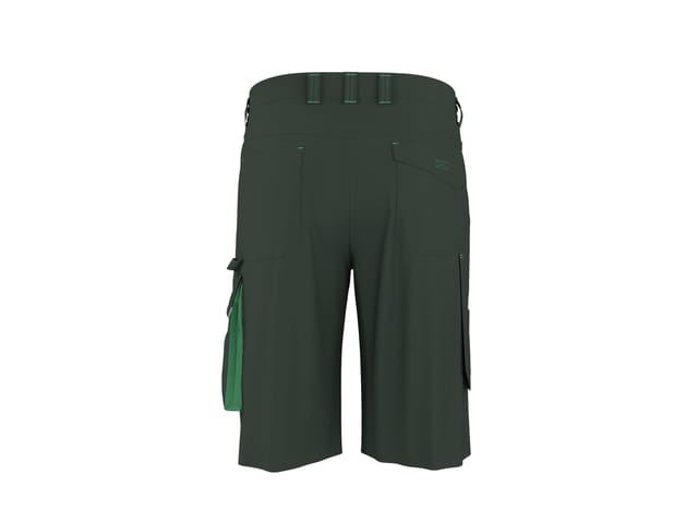 PARKSIDE® Herren Arbeitsshorts (grün, 52)
