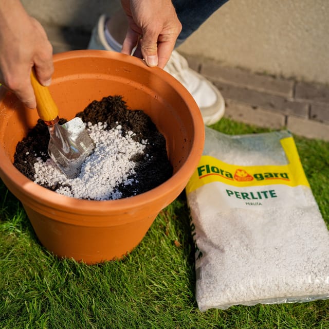 Floragard Perlite, 4 x 5 L