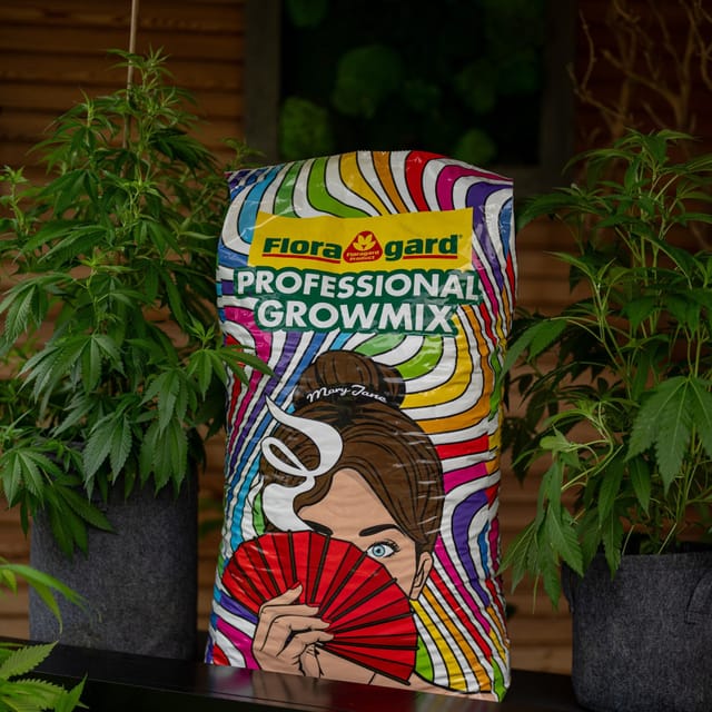 Floragard Spezialerde Indoor 'Professional Grow Mix', 2 x 40 L