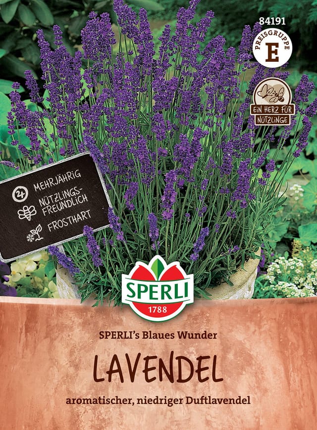 SPERLI Lavendel-Samen 'Blaues Wunder', violett