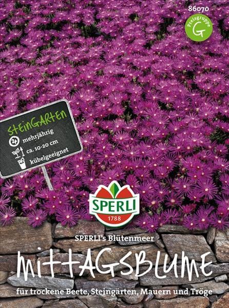 SPERLI Mittagsblumen-Samen 'Blütenmeer', bunt