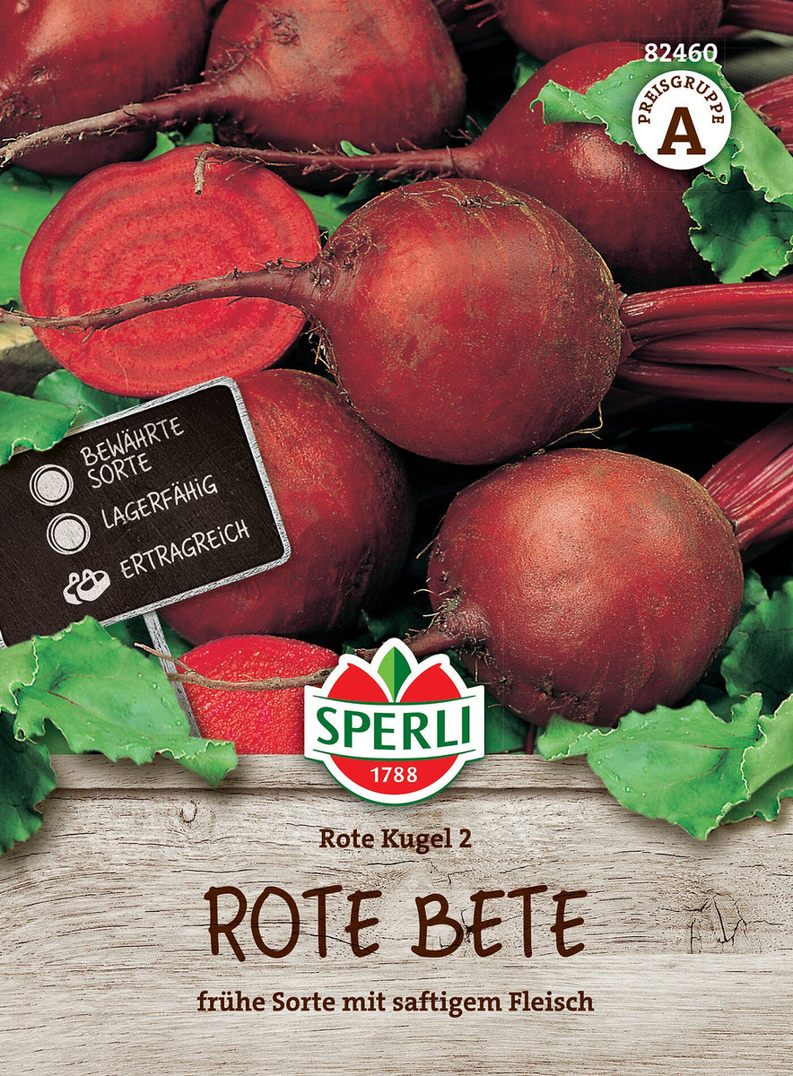 SPERLI Rote Bete-Samen 'Rote Kugel 2', 1 Saattüte