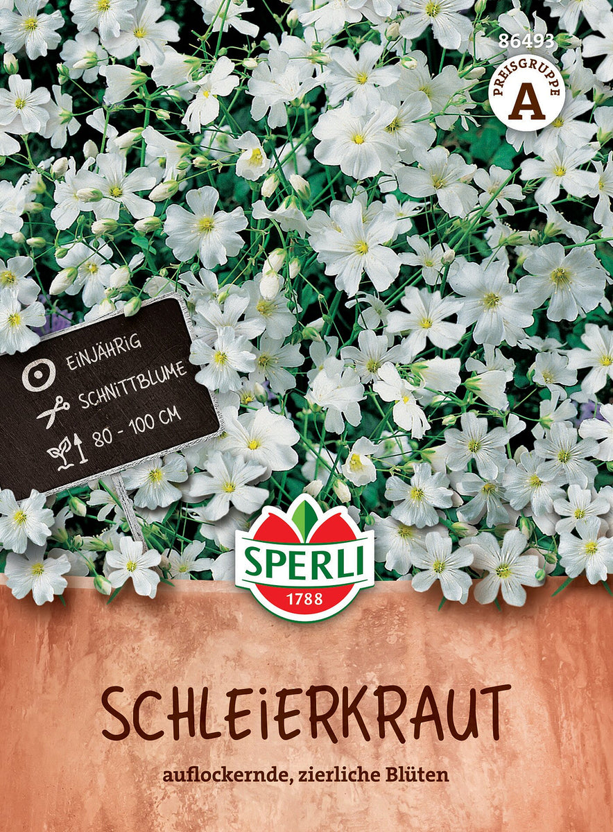 SPERLI Schleierkraut-Samen