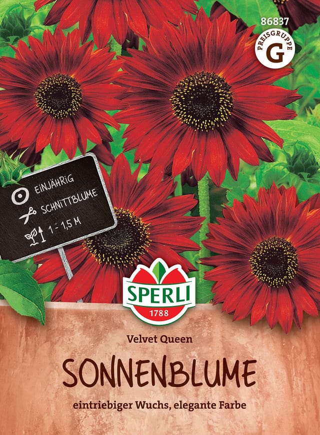SPERLI Sonnenblumen-Samen 'Velvet Queen', rot