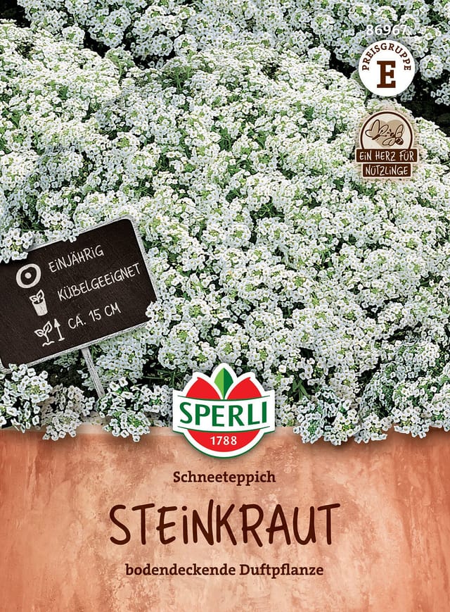 SPERLI Steinkraut-Samen 'Schneeteppich', weiß