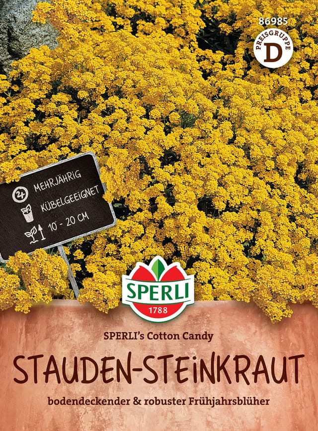 SPERLI Stauden-Steinkraut-Samen 'Cotton Candy', bunt
