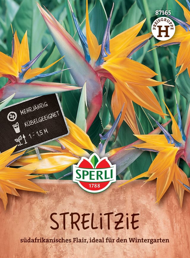 SPERLI Strelitzien-Samen, bunt