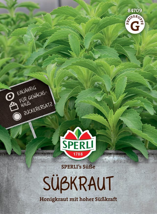 SPERLI Süßkraut-Samen 'Süße'