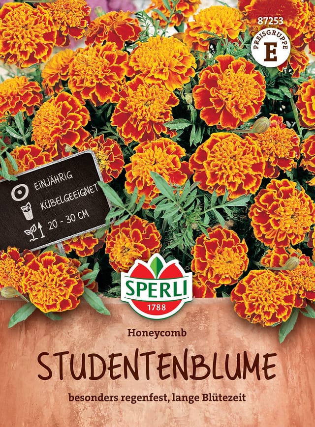 SPERLI Studentenblumen-Samen 'Honeycomb', bunt