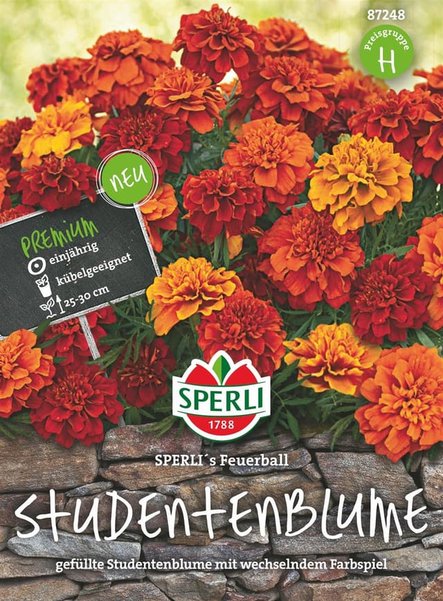 SPERLI Studentenblumen-Samen 'Feuerball', rot