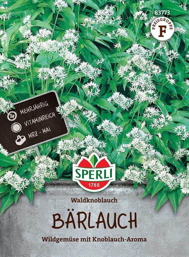 SPERLI Bärlauch-Samen 'Waldknoblauch', weiß