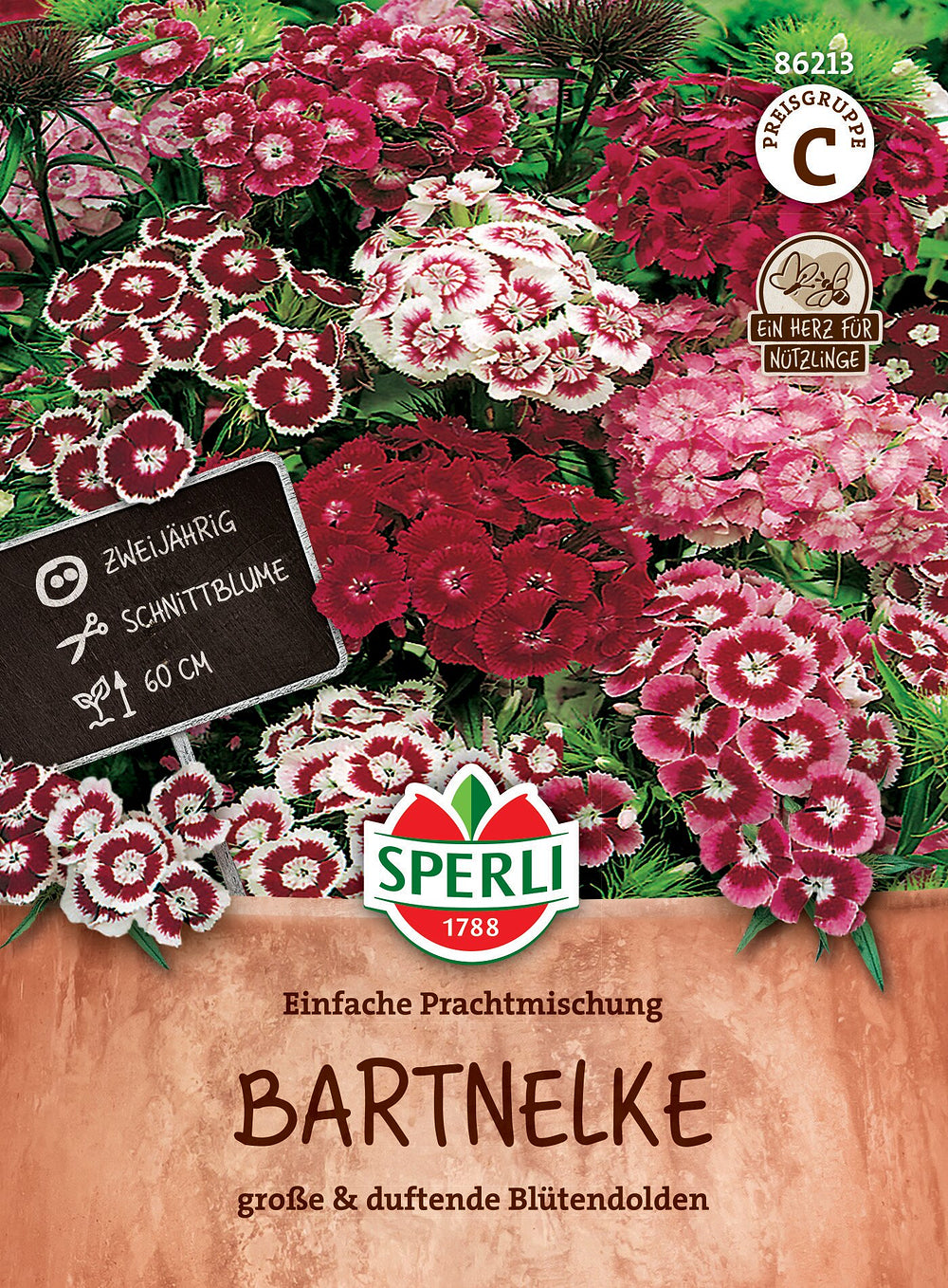 SPERLI Bartnelken-Samen "Einfache Prachtmischung", bunt