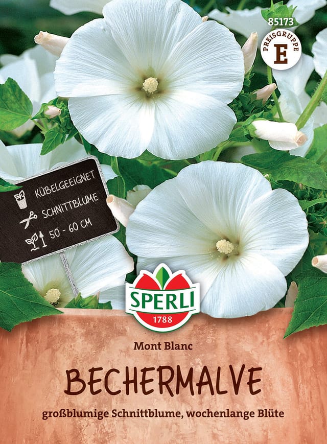 SPERLI Bechermalven-Samen 'Mont Blanc', weiß
