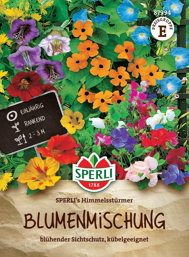 SPERLI Blumensamen "Himmelsstürmer