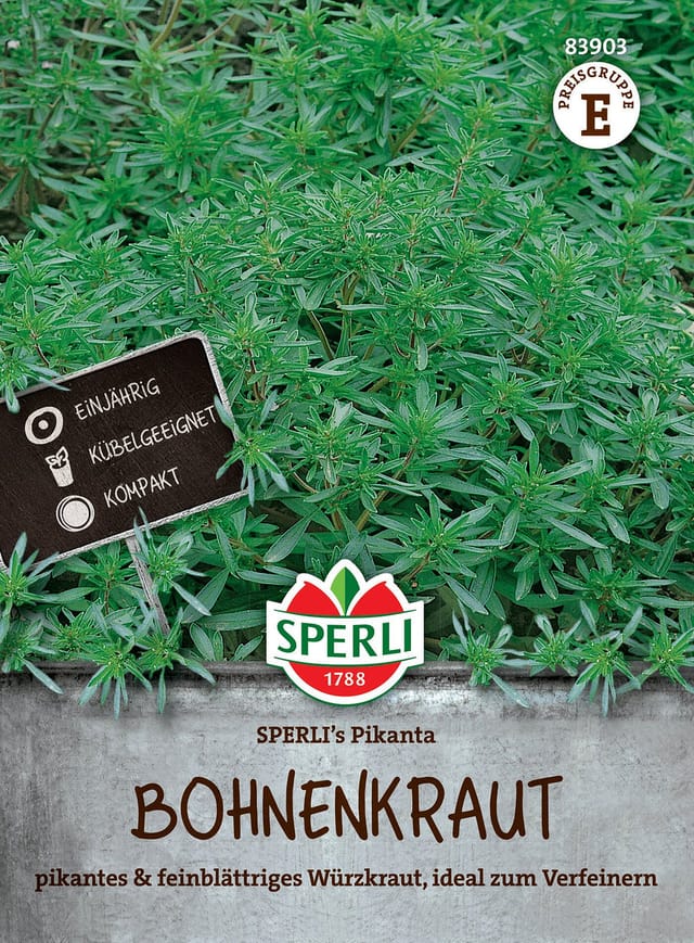 SPERLI Bohnenkraut-Samen 'Pikanta'