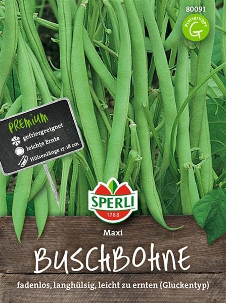 SPERLI Buschbohnen-Samen 'Maxi'