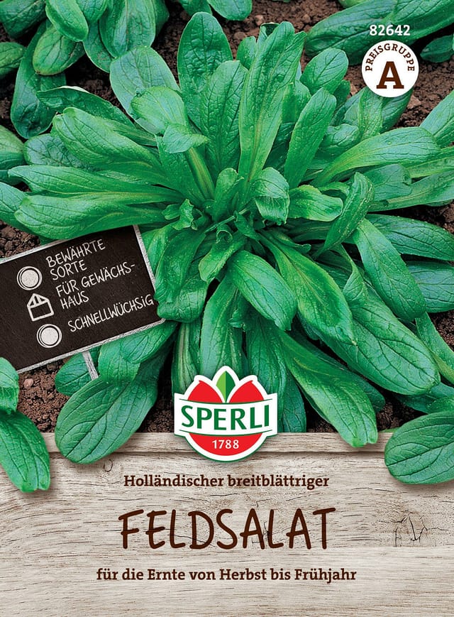 SPERLI Feldsalat-Samen 'Holländischer breitblättriger'
