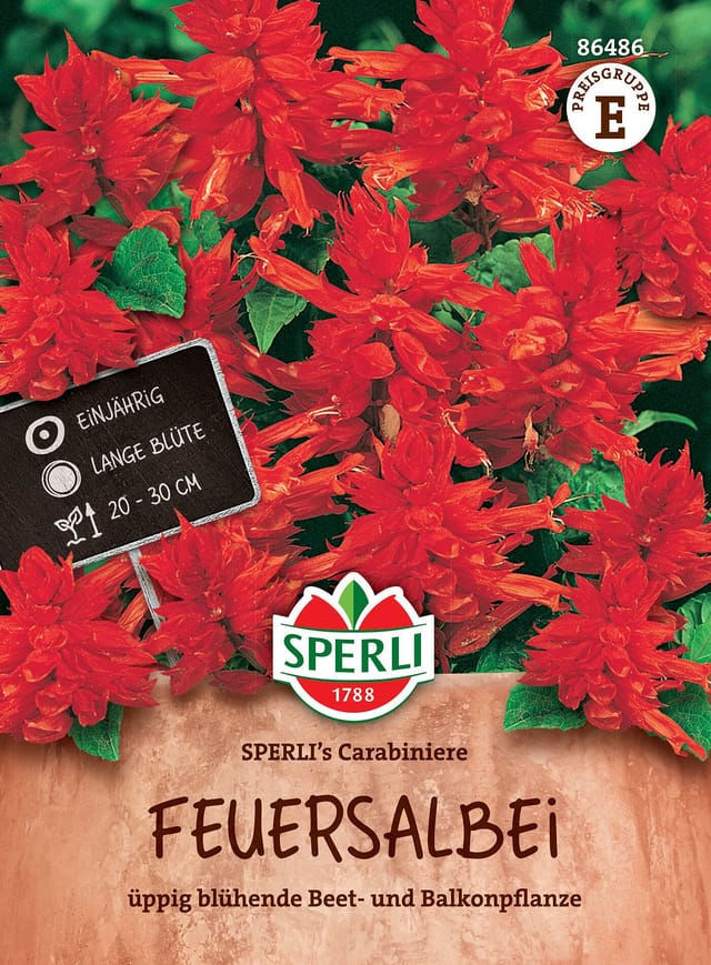 SPERLI Feuersalbei-Salbei 'Carabiniere', rot
