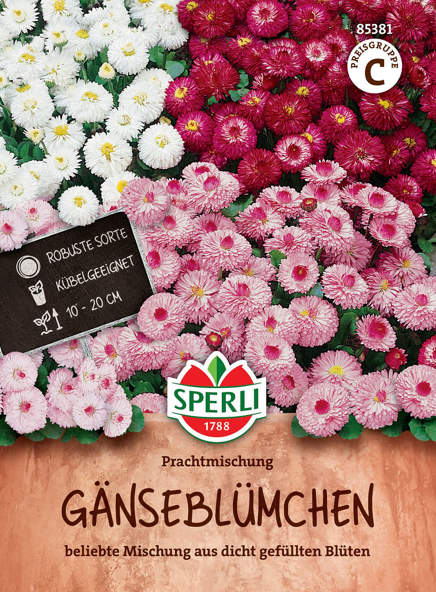 SPERLI Gänseblümchen-Samen "Prachtmischung", bunt