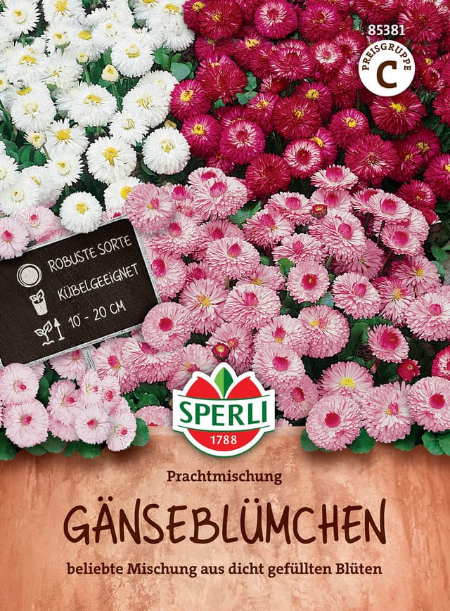 SPERLI Gänseblümchen-Samen "Prachtmischung", bunt