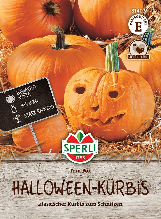 SPERLI Halloween Kürbis-Samen Tom Fox
