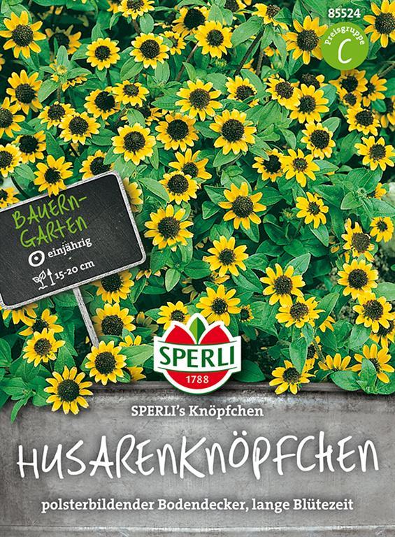 SPERLI Husarenknöpfchen-Samen 'Knöpfchen', gelb