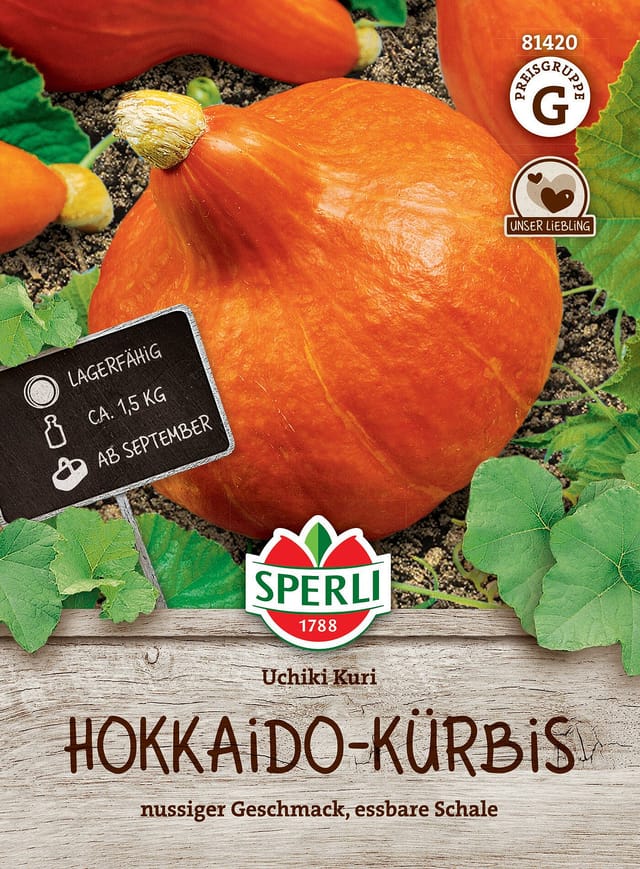 SPERLI Hokkaido Kürbis-Samen 'Uchiki Kuri'