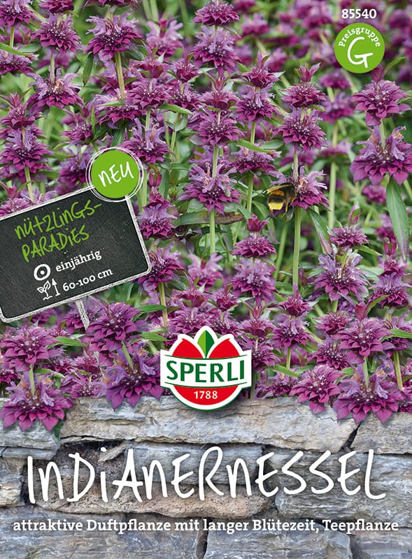 SPERLI Indianernessel-Samen, violett