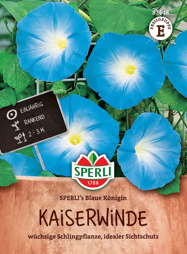SPERLI Kaiserwinde-Samen 'Blaue Königin', blau