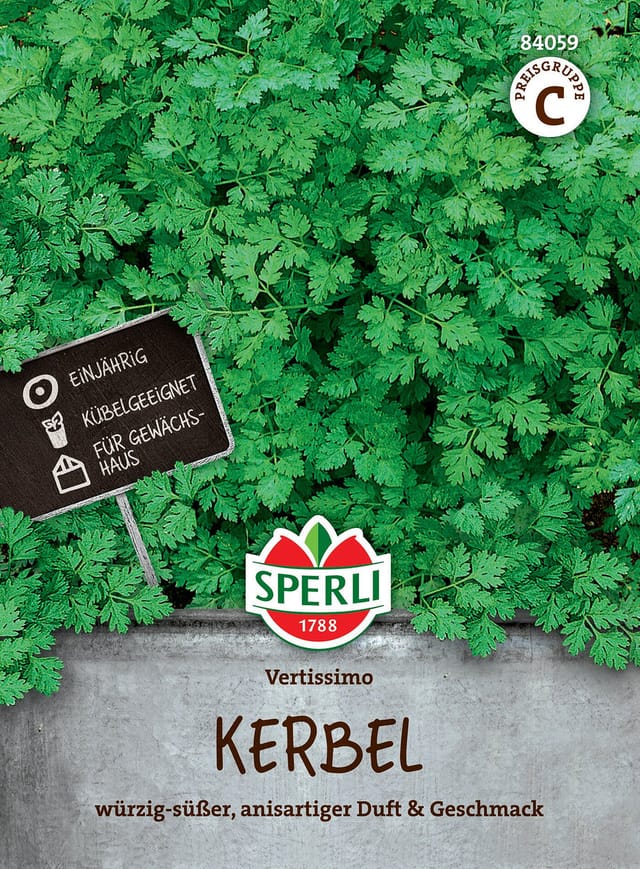 SPERLI Kerbel-Samen 'Vertissimo'
