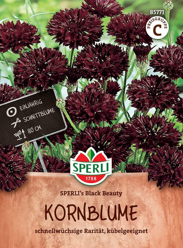 SPERLI Kornblumen-Samen 'Black Beauty', schwarz