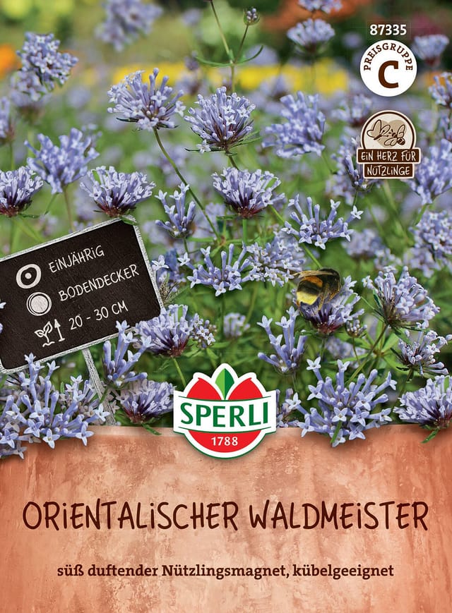 SPERLI Orientalischer Waldmeister-Samen, violett