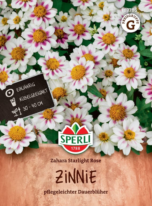 SPERLI Zinnien-Samen 'Zahara Starlight Rose', weiß