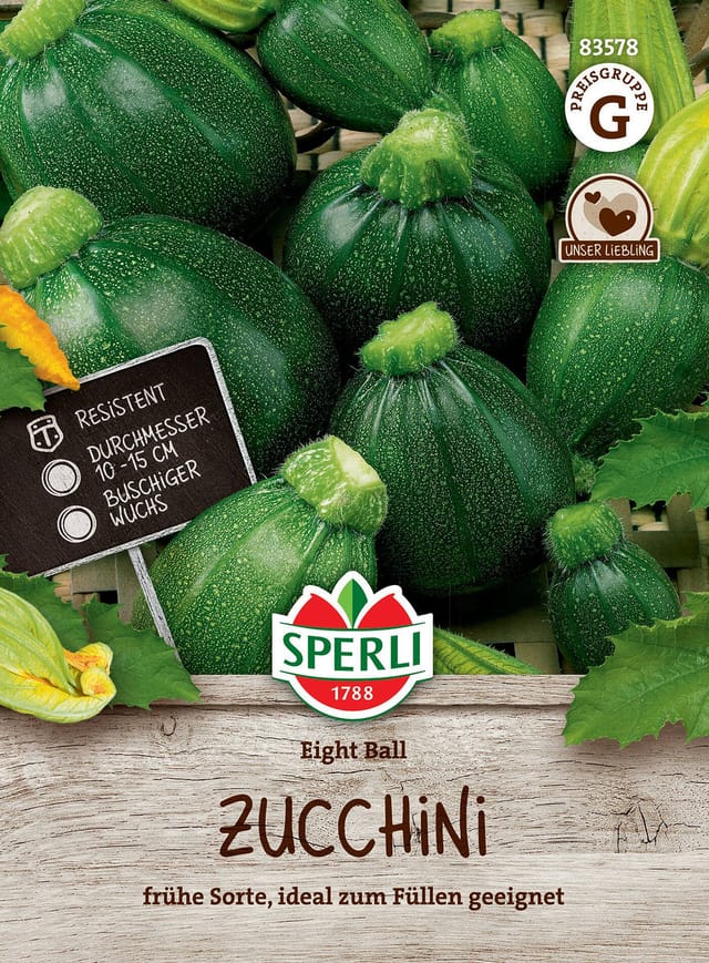 SPERLI Zucchini-Samen 'Eight Ball', F1, gelb