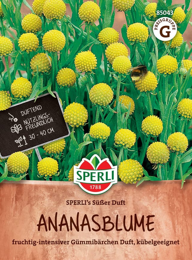 SPERLI Ananasblumen-Samen 'Süßer Duft', bunt