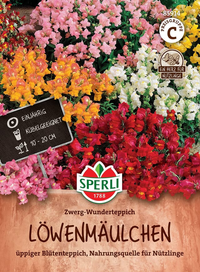 SPERLI Löwenmäulchen-Samen 'Zwerg-Wunderteppich', bunt