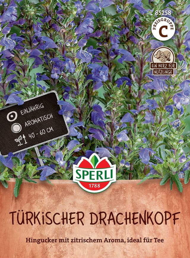 SPERLI Türkischer Drachenkopf-Samen, violett