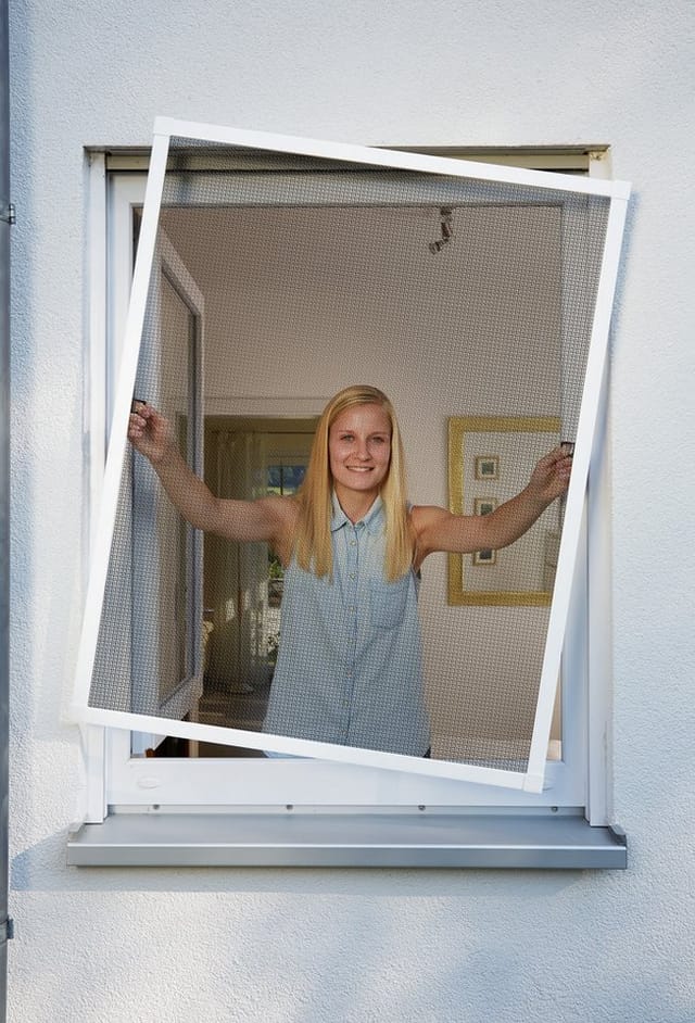 Schellenberg Insektenschutz-Fenster Plus, weiß, 100x120 cm