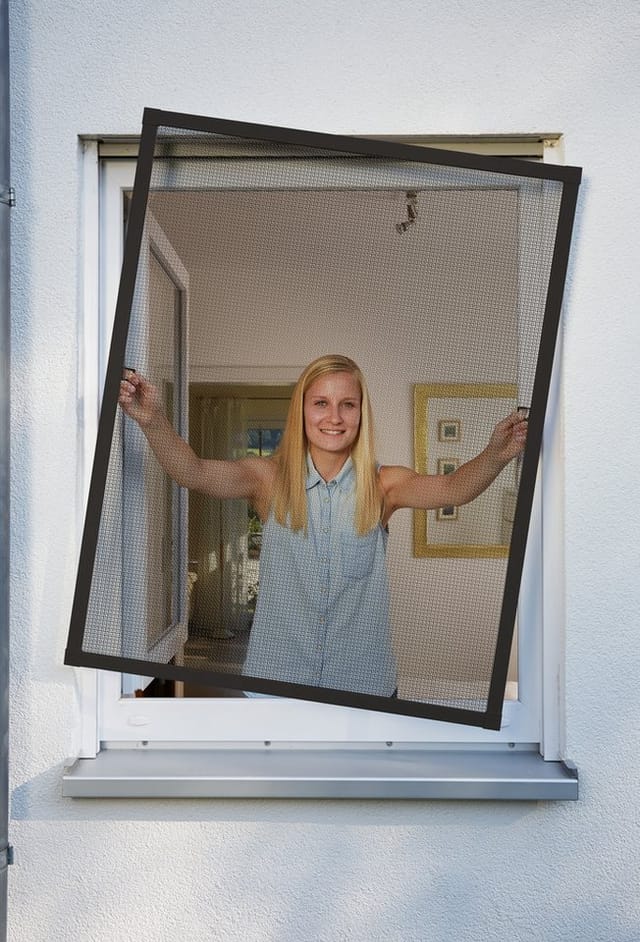 Schellenberg Insektenschutz-Fenster Plus, anthrazit, 100x120 cm