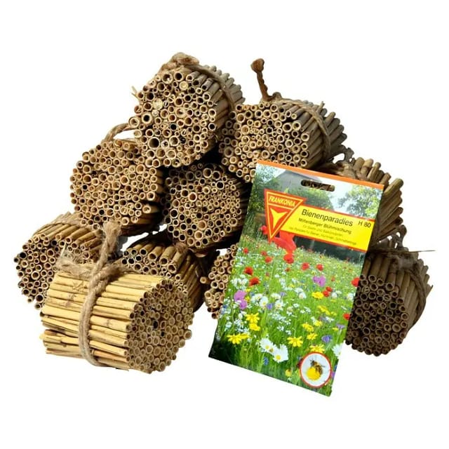 dobar green label Schilfrohrhalme-Set plus Samenmischung "Bienenschmaus