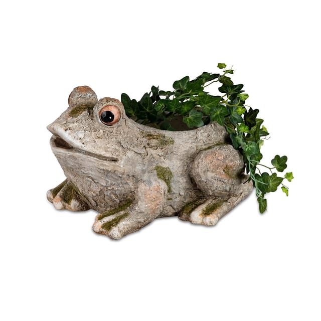 formano Pflanzgefäß Steinoptik Frosch