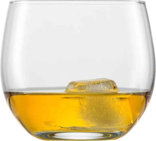 Schott Zwiesel Whiskybecher For you 400 ml 4er Set