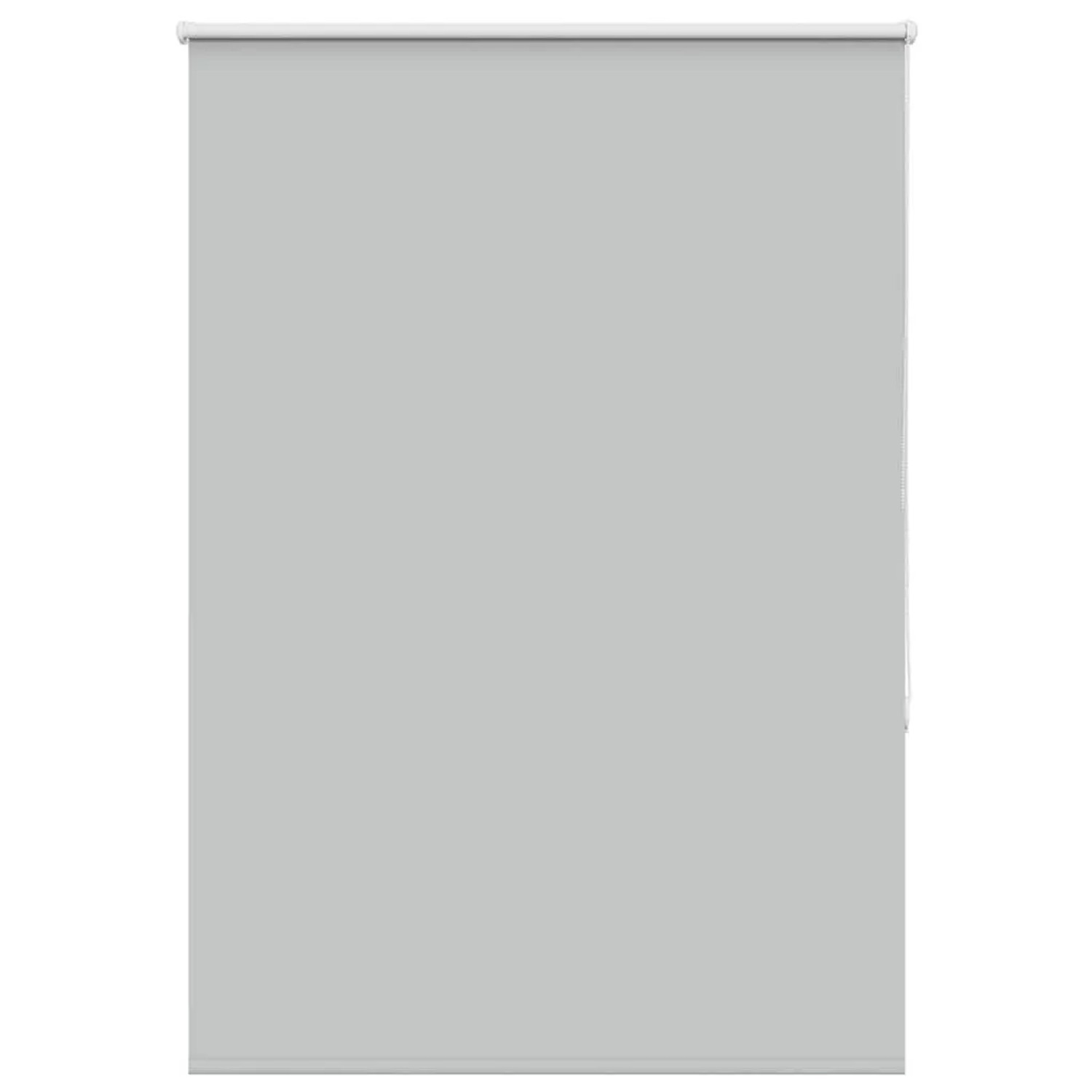 vidaXL Verdunkelungsrollo Hellgrau 100x175 cm Stoffbreite 95,7cm 4011414