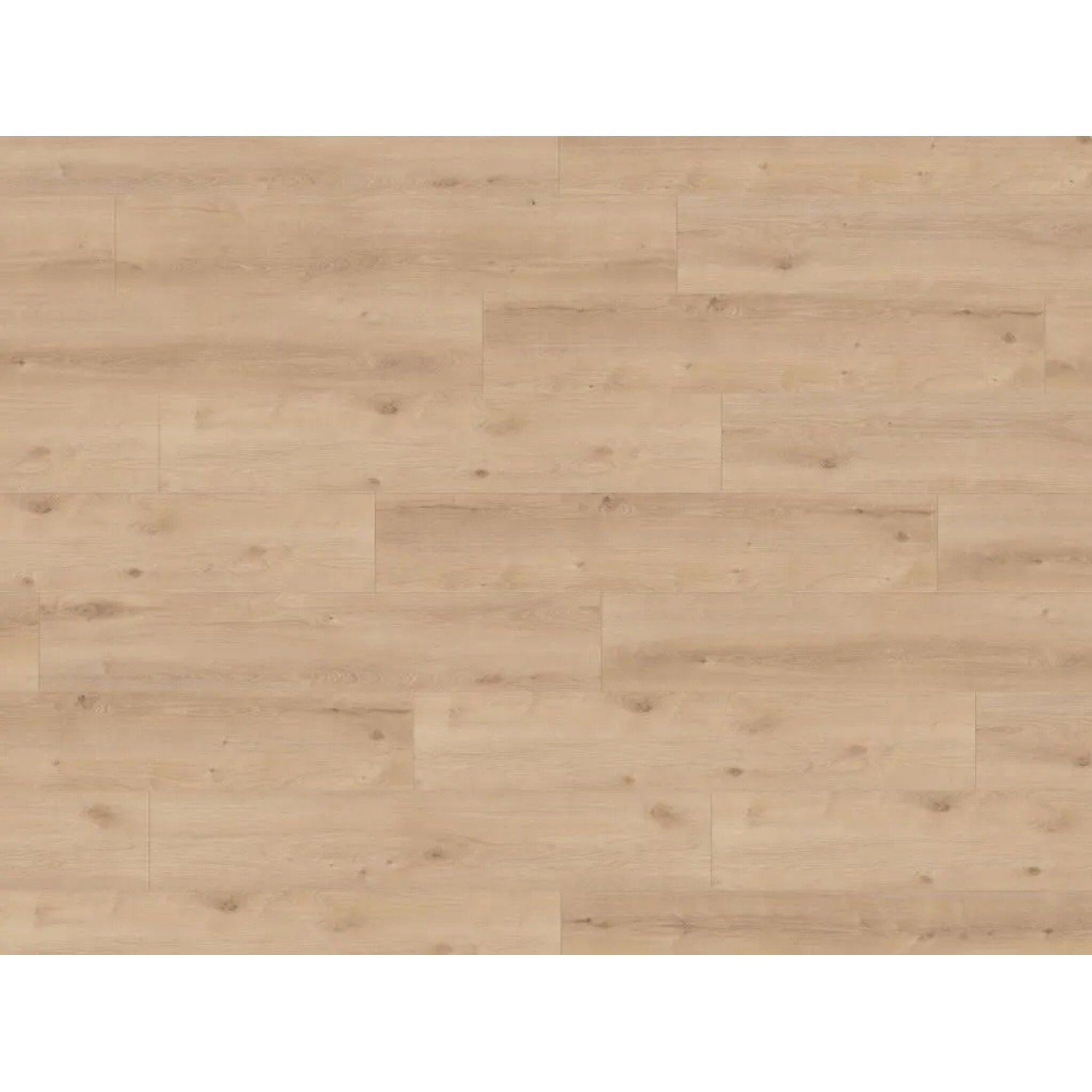 Kronotex Eiche Durham Laminat XL-Landhausdiele Strukturoptik 24,4 cm