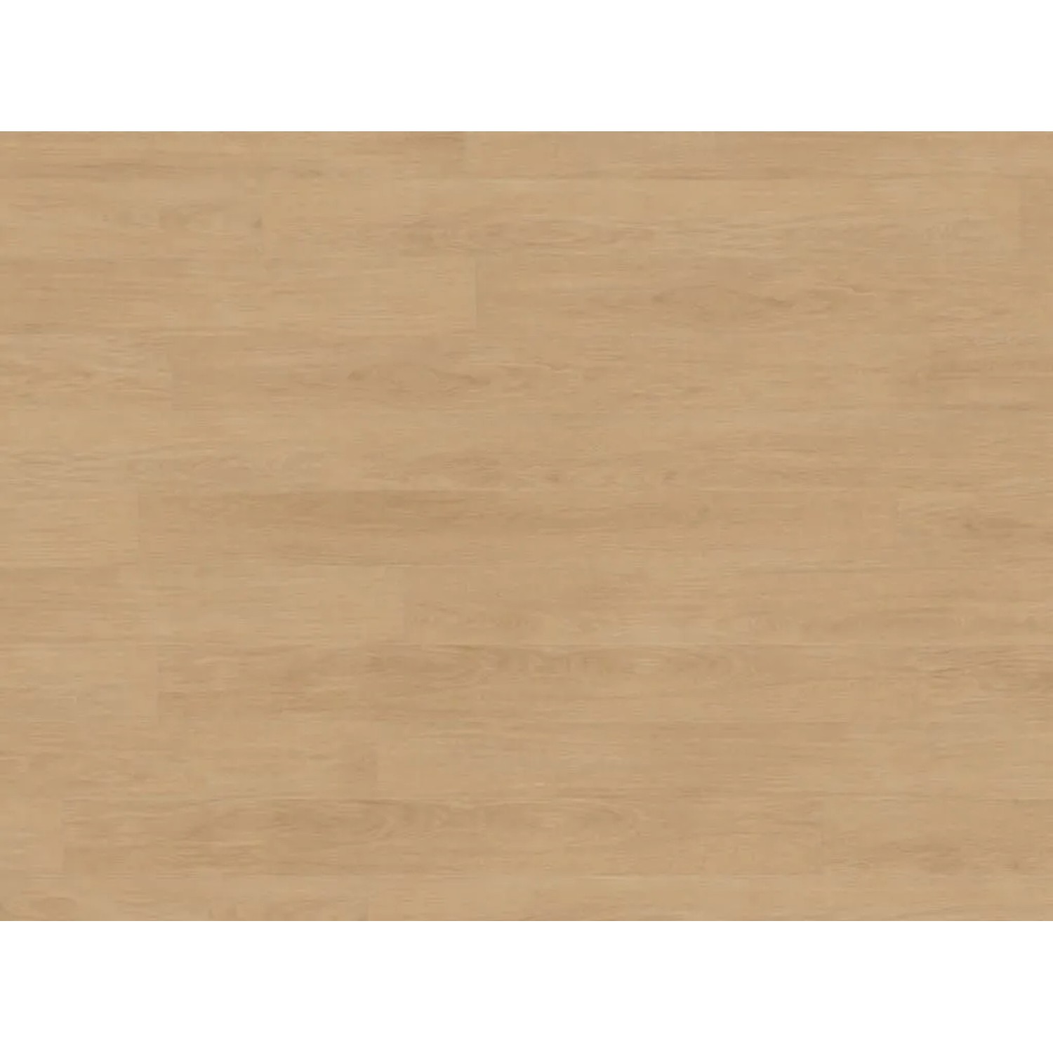 Kronotex Laminat Elegance Oak Creme 81162 Mammut Plus Landhausdiele