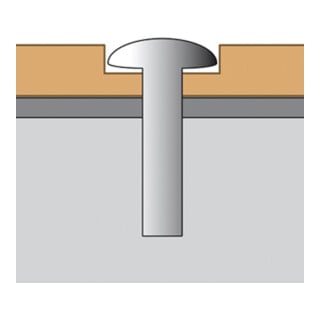 MORION Justizspiegel 500 x 250mm Edelstahl beschichtet