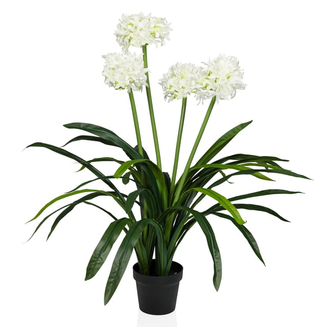 hjh OFFICE Kunstpflanze AGAPANTHUS Kunststoff
